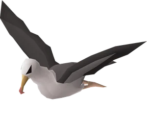 Albatross