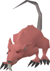 Angry giant rat