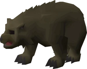 Bear Cub