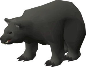 Black bear