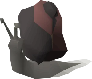 Blood Blamish Snail (Round)