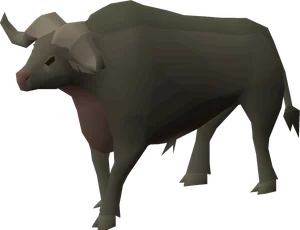 Buffalo