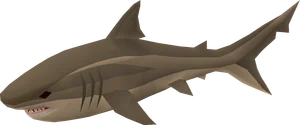 Bull shark