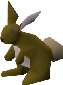 Bunny