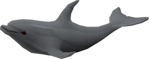 Dolphin