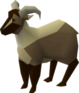 Goat
