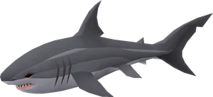 Great white shark