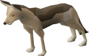Jackal