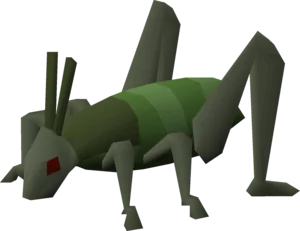 Locust