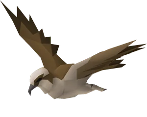 Osprey