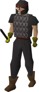 Pirate Guard