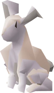 Rabbit