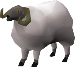 Ram