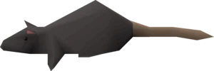 Rat (Regular)