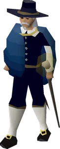 Saradomin priest