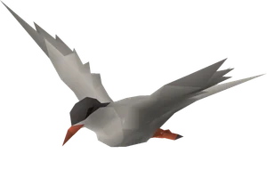Tern