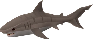 Tiger shark