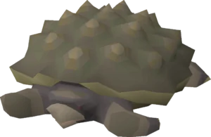 Tortoise (No riders)