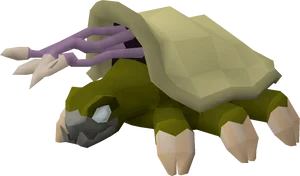 Warped Tortoise