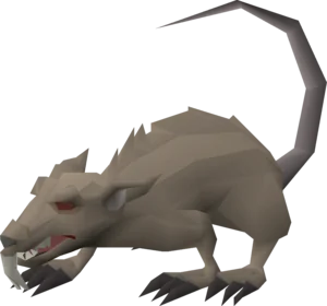 Zombie rat